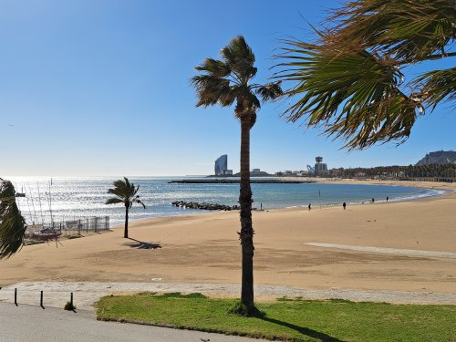 A tenger felé dőlő város