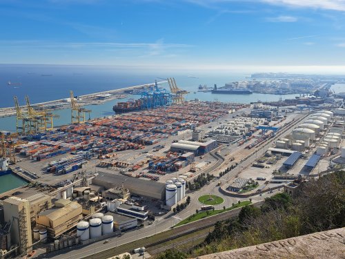 Kőből nőtt organizmusok, ágyúk és narancsfák