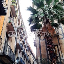 Barcelonát lakni tanulom